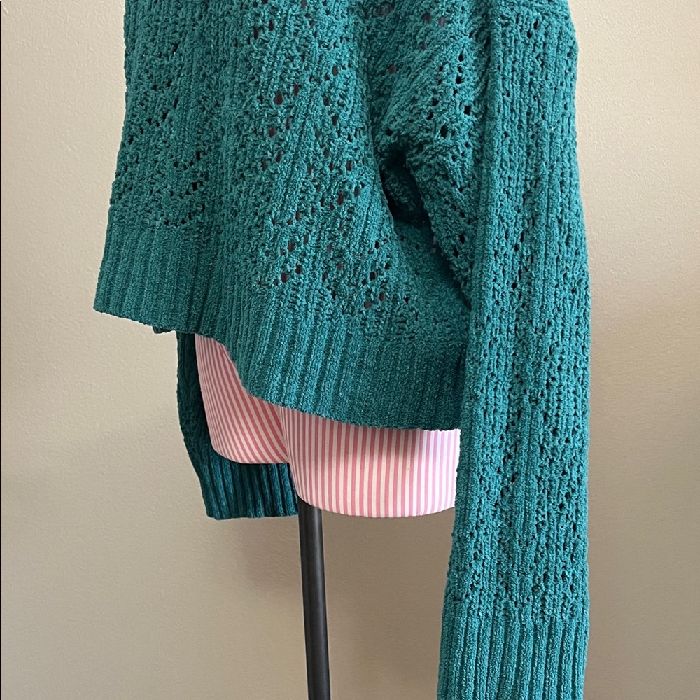 American Eagle Outfitters Teal Forest Green Eyelet Crew Neck Sweater - L - Picture 6 of 7